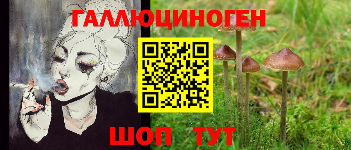 Зеленокумск  Псилоцибиновые грибы MAGIC MUSHROOMS  Вход с VPN  Галлюциногенные грибы MAGIC MUSHROOMS 